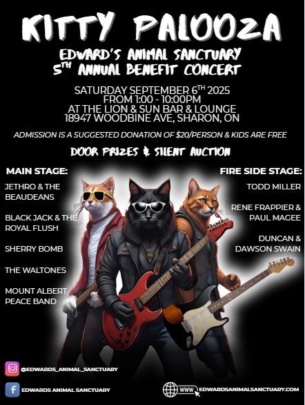 Todd Performing Solo @ Kitty Palooza, Sept 6, 2025!